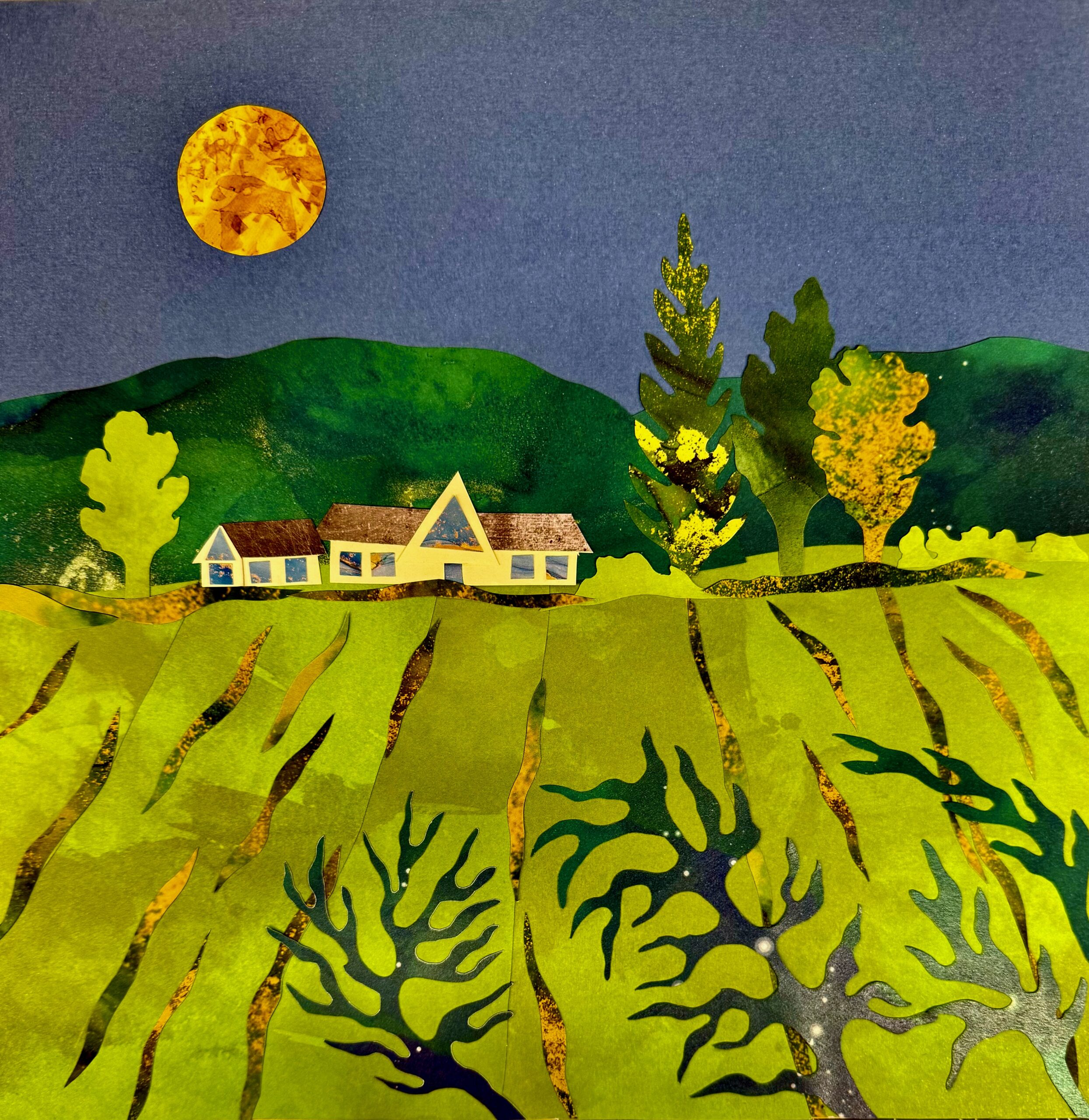 The Full Moon