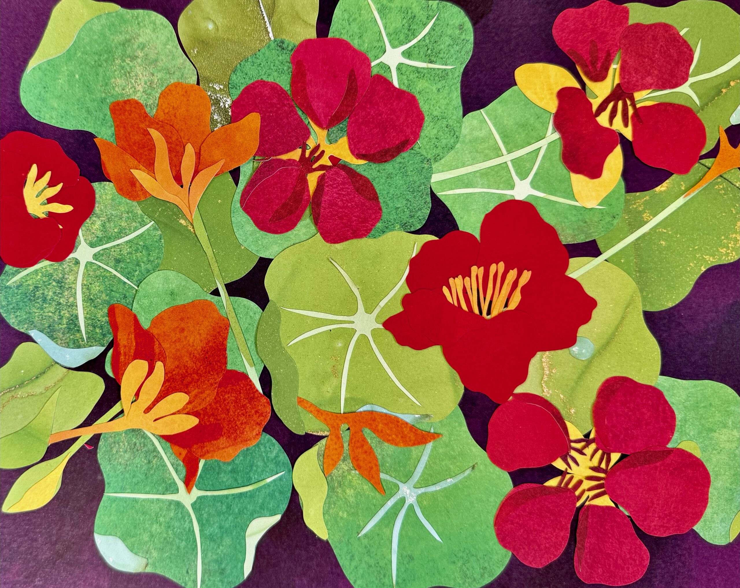 Nasturtium