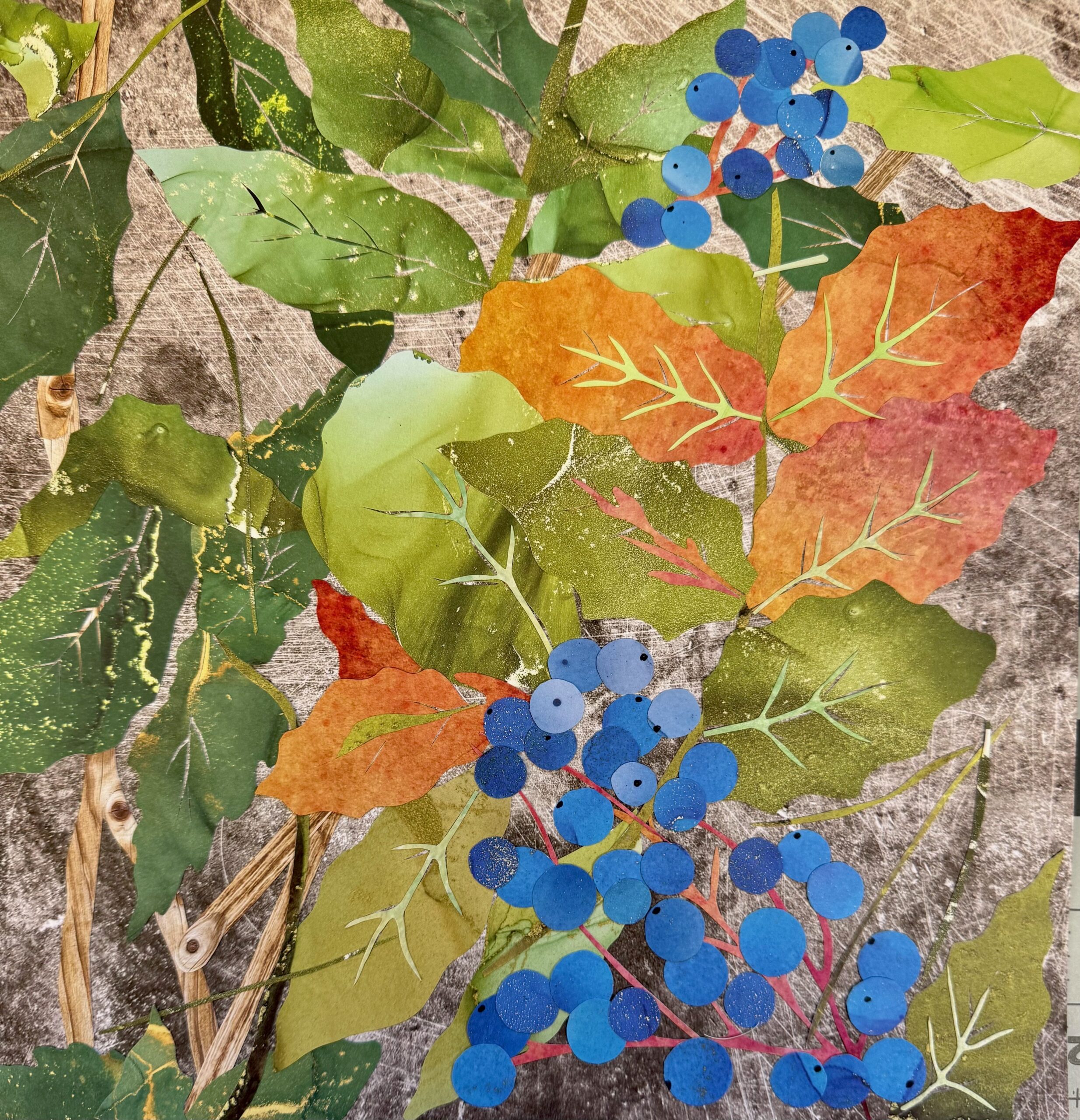 Mahonia in Fall