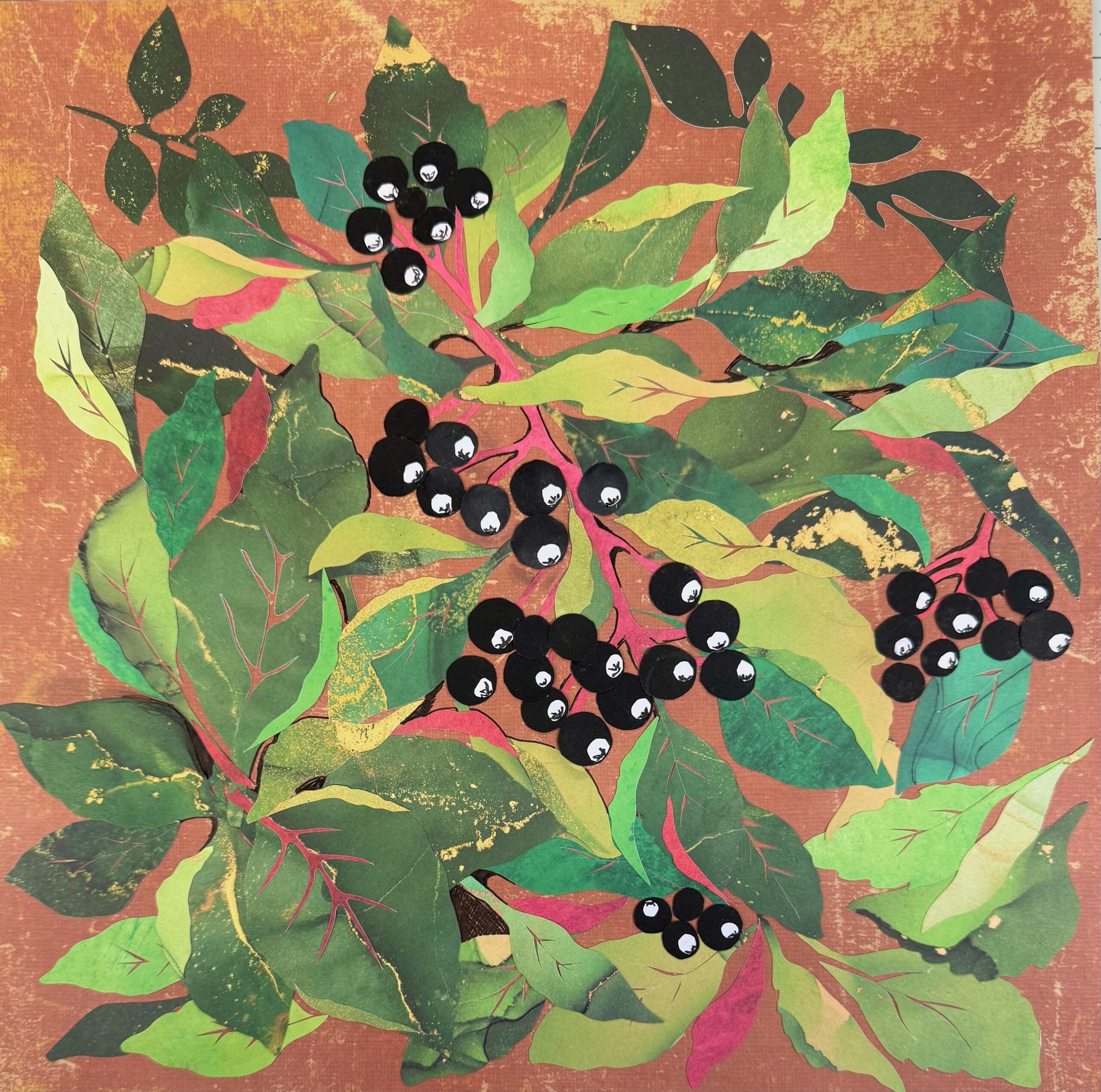The Beauty of Black Chokeberry”