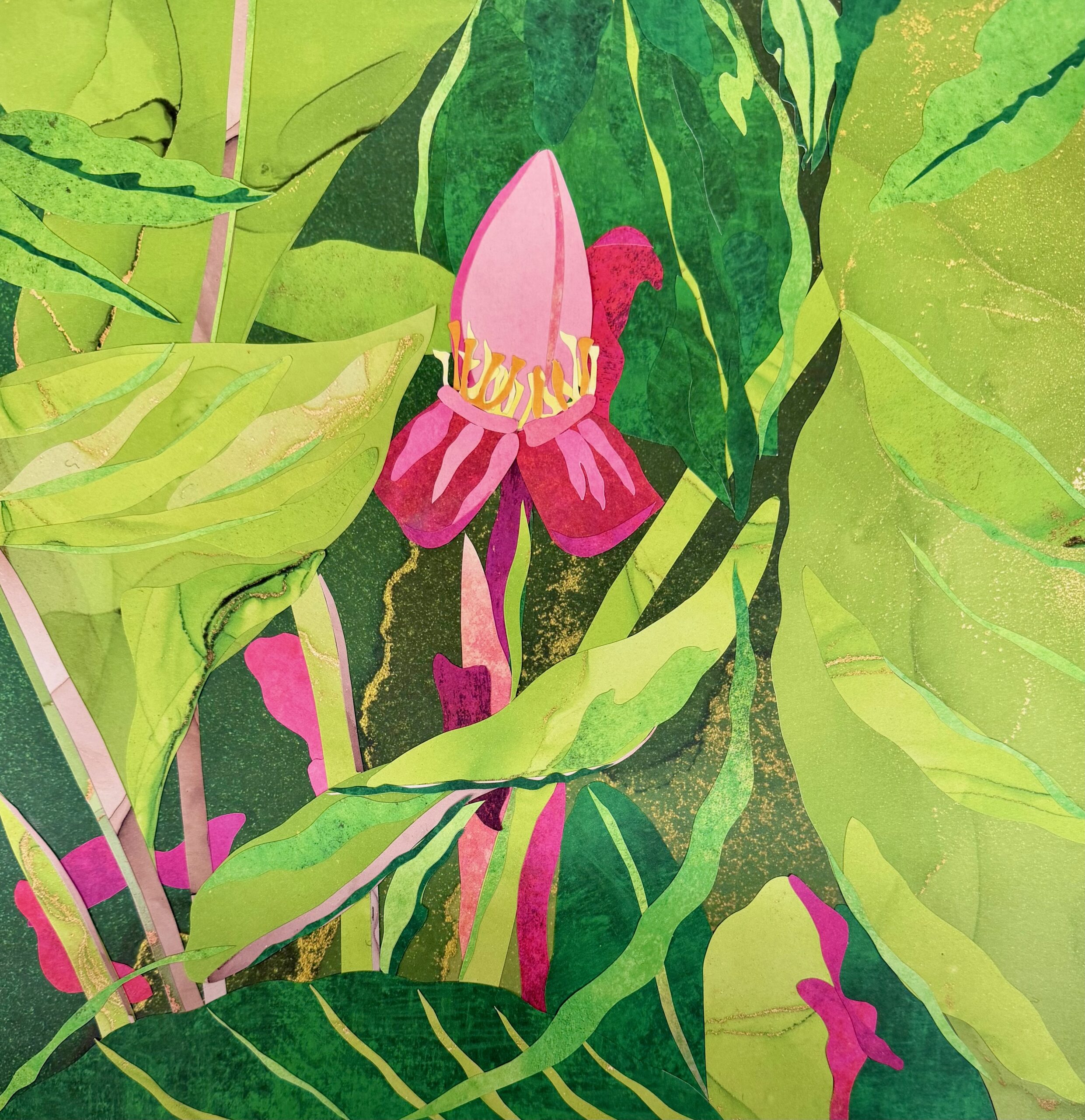 Flowers from Costa Rica I