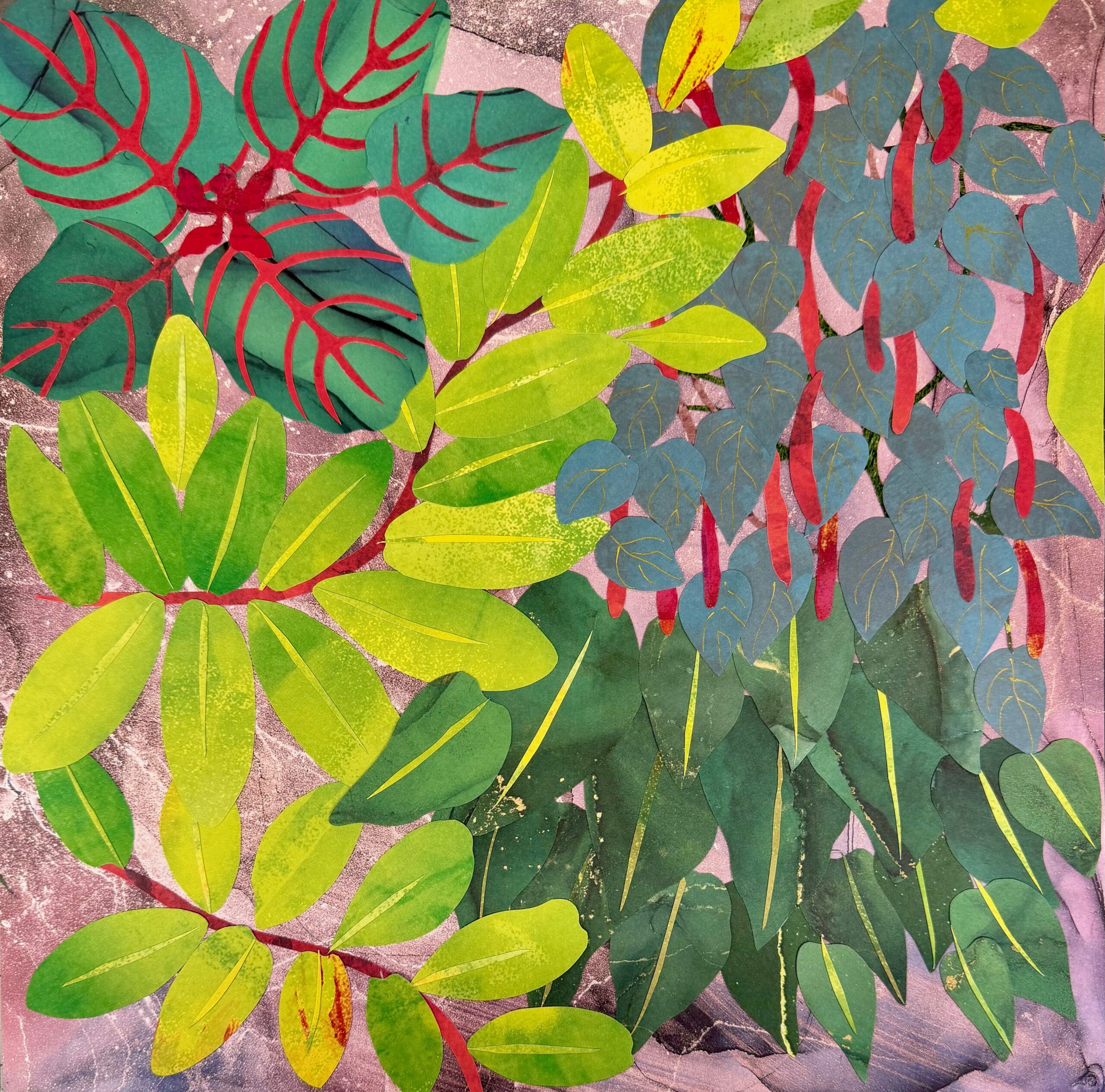 Flowers from Costa Rica III