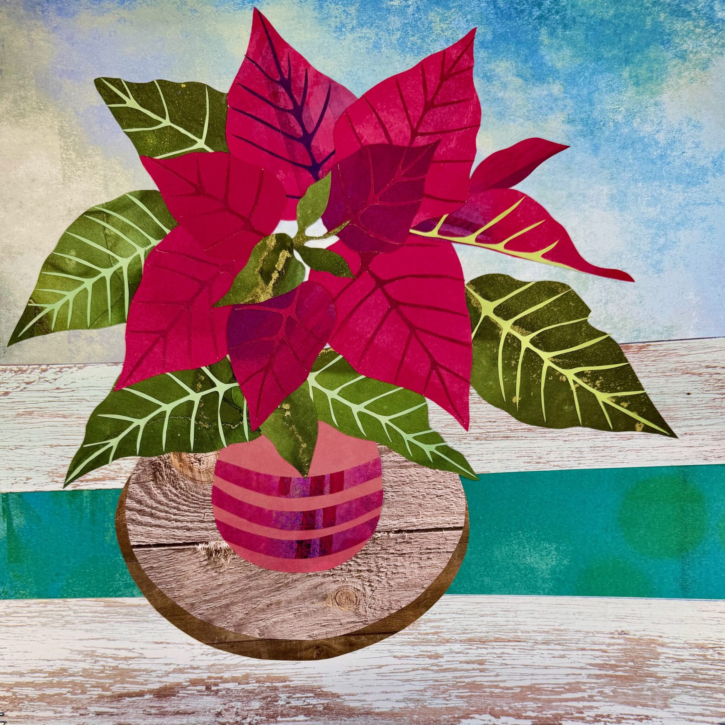 Poinsettia