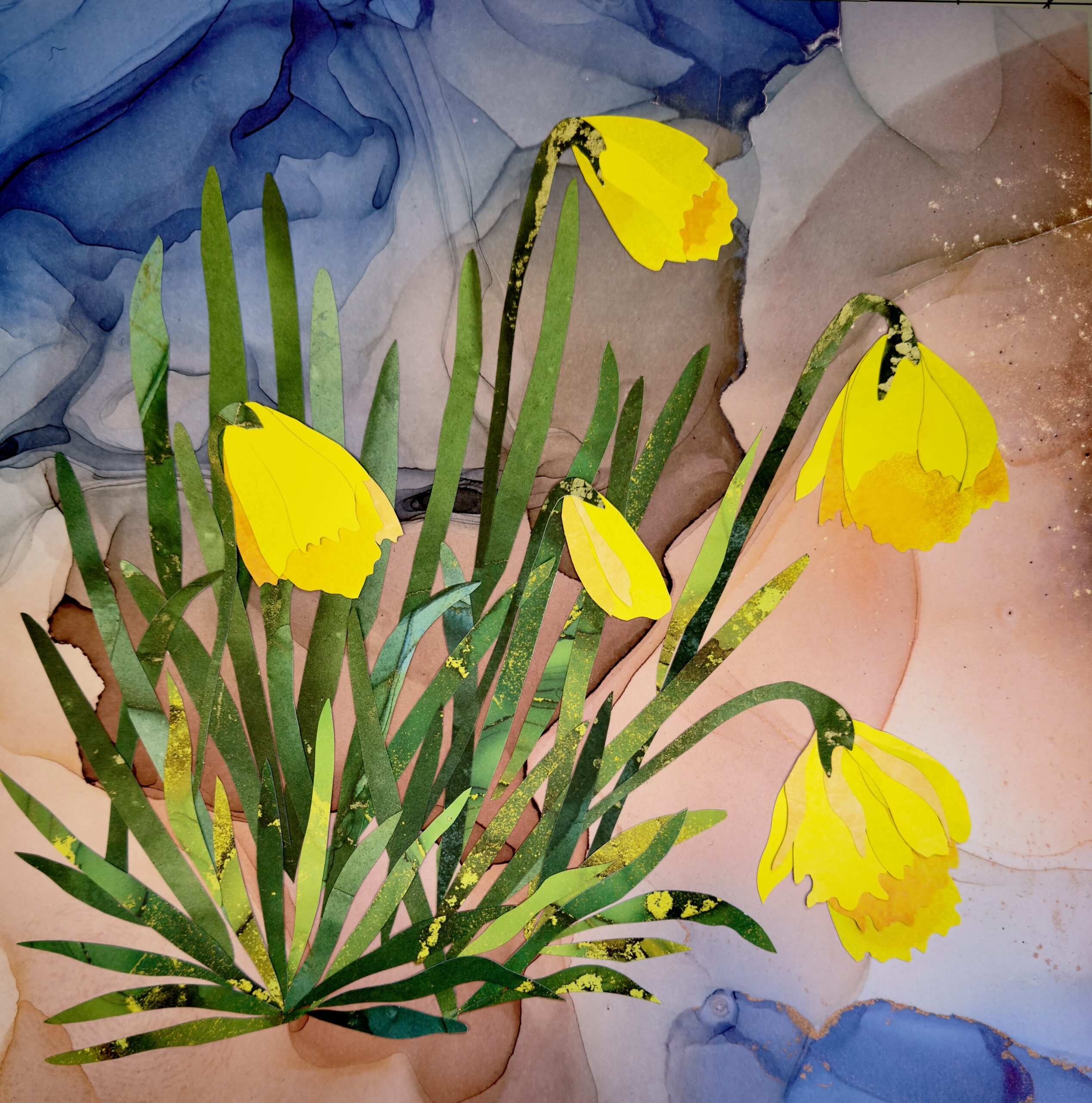 Daffodils