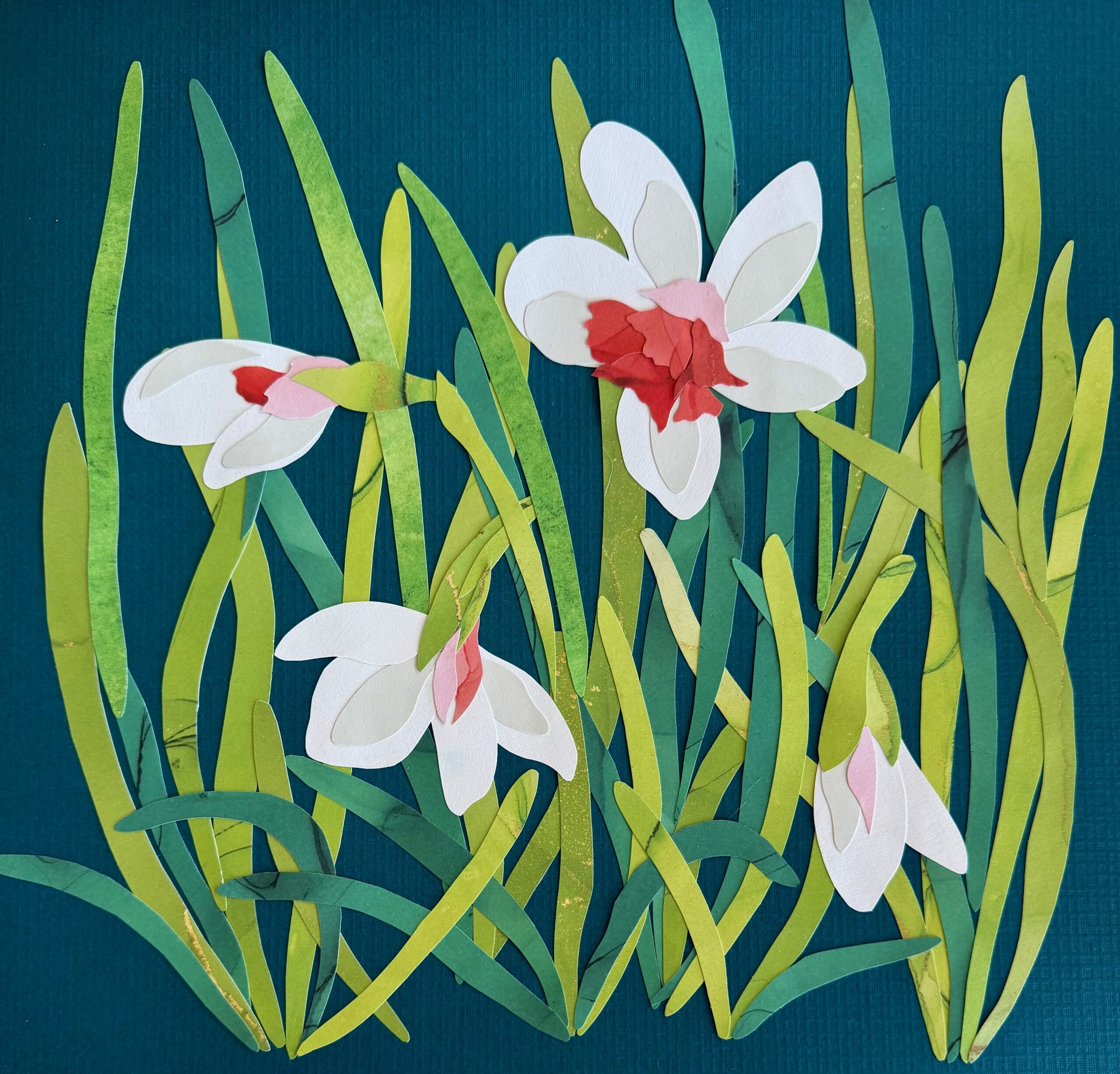 White Daffodils